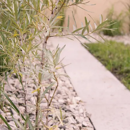 - 6 Person - Premium Baltic With Garden Apartment