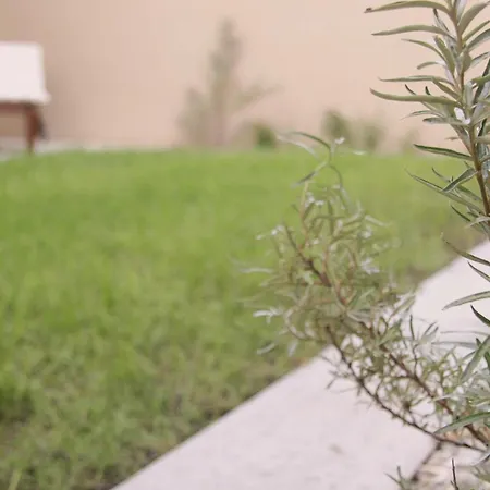 - 6 Person - Premium Baltic With Garden Apartment